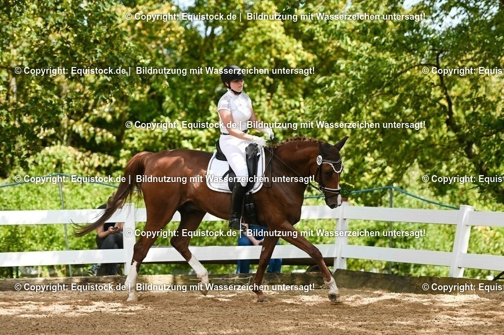 20230715_02_Dressurreiterprüfung Kl.L_0250 | equistock