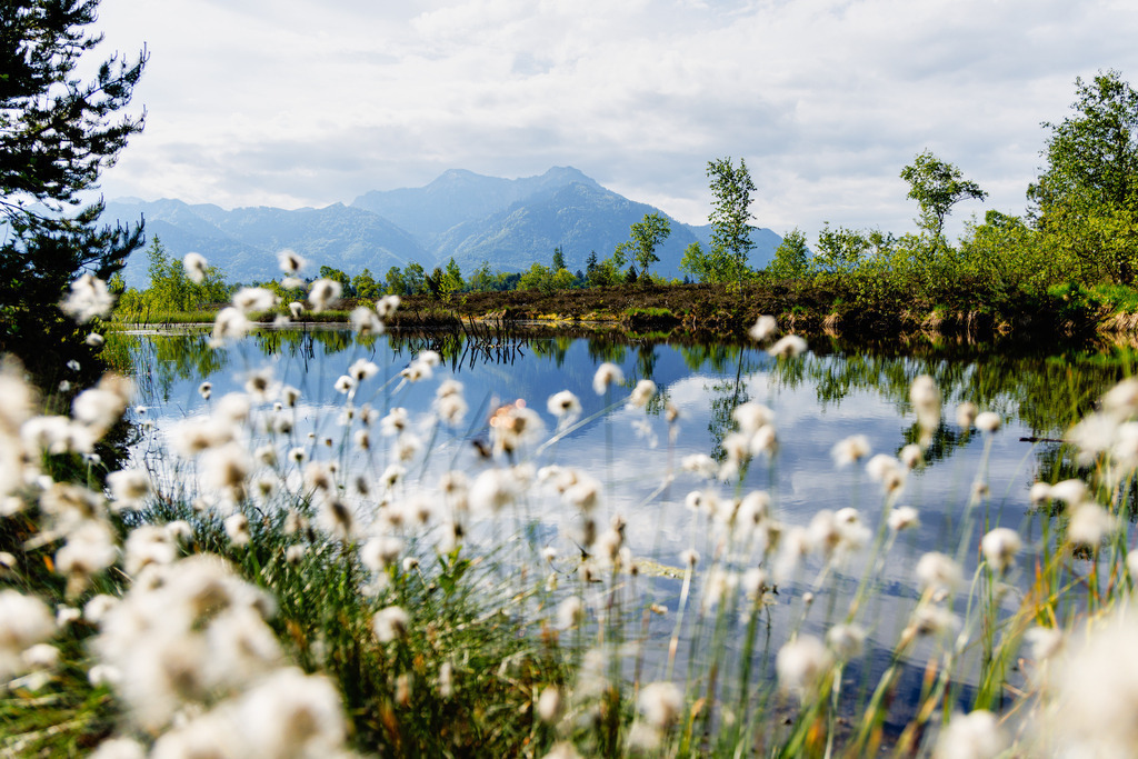 GT2A9491 | ap-design // andreas plenk - Realisiert mit Pictrs.com