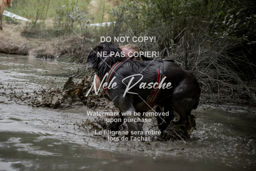 nelerasche_so1445-1515_218 | nelerasche