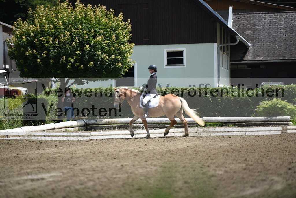 DSC_1266 | equestrian-live-com