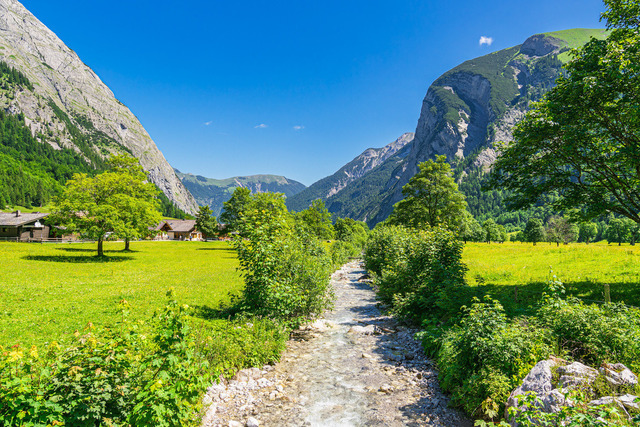 Der Große Ahornboden im Rißtal bei der Eng Alm in Österreich | Der Große Ahornboden im Rißtal bei der Eng Alm in Österreich.