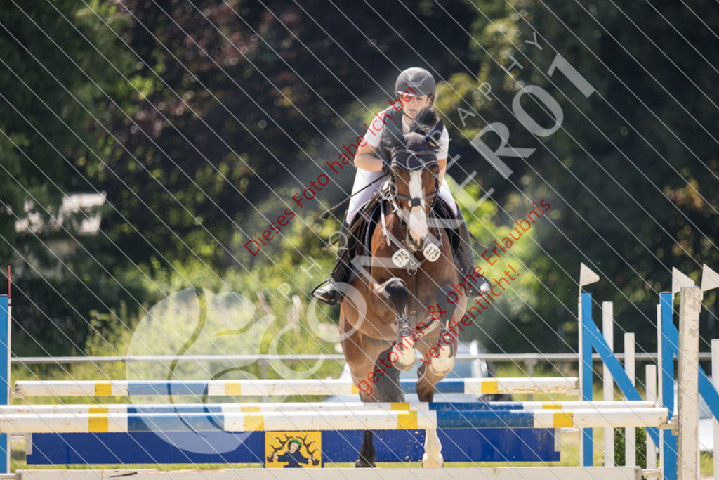IMG_9181 | Sport-, Event- und Tierfotos in Profiqualität. Einfach auswählen, bestellen und herunterladen. Dein Moment – perfekt festgehalten.