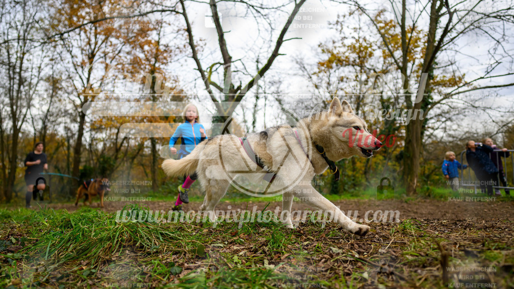 MompixPhotography_Bischwiller24_DI_CoursedeRelais-120 | PayLife