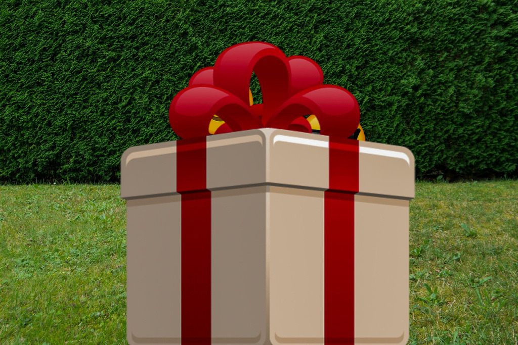 top-top.de-250601-260 | Foto, Video, Fotografie, Videografie, Fotobox, DJ, Discjockey, Musik, Musikbox, Veranstaltung, Photobooth, Amazon, Ebay, Buchtipp, Bestseller, Autor, Verlag, Buch, Wesel, Hamminkeln, NRW, Dinslaken, Rees, Drohne, Hochzeit, Party, Fotobox, Wesel, Fotograf