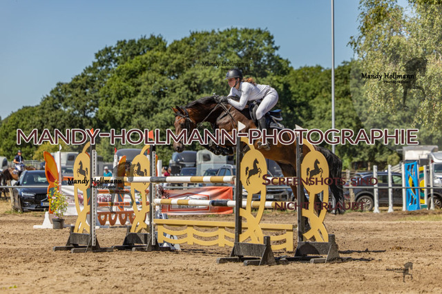 26-8-9 SPR M-337 | mandyhollmannphotographie