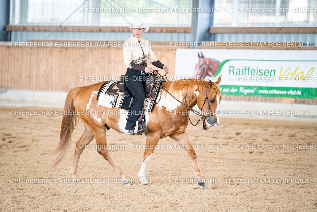 DSC02241 | Pferdegrafie