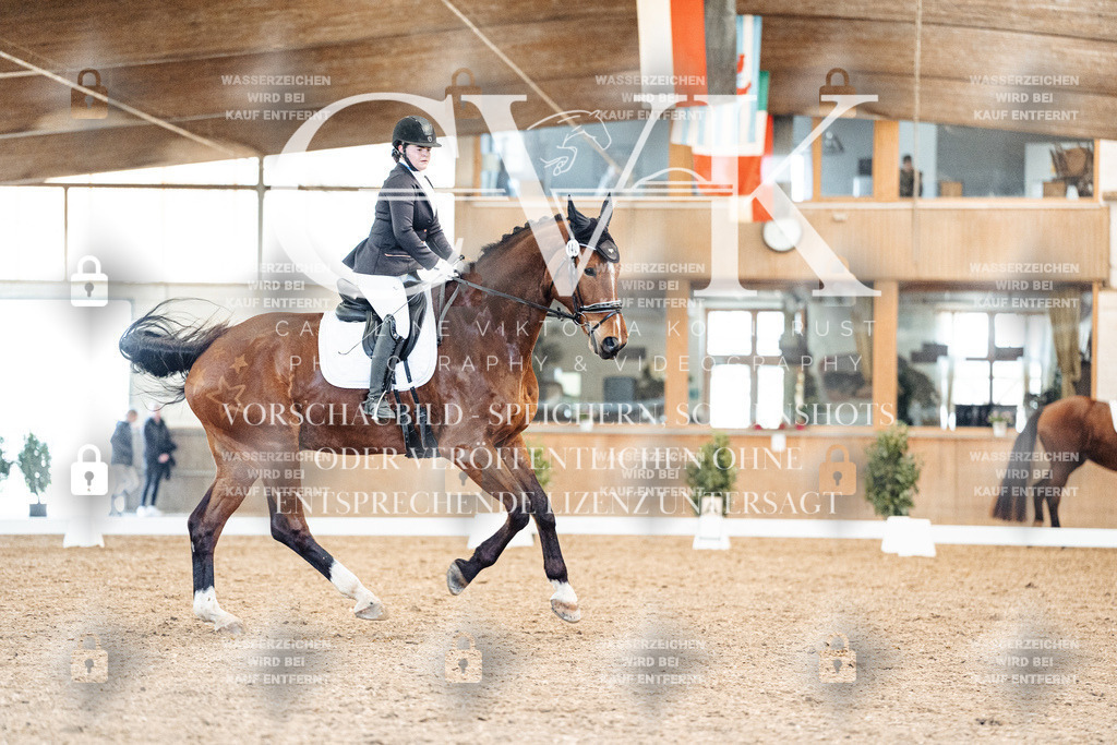 CK909197 | Turnierfotografie Pferdefotografie Trier Rheinland-Pfalz Pferdesport Reitsport Tierfotografie Sportfotografie Pferdevideo Pferdevideografie Equestrianvideography equestrianphotography  - Realisiert mit Pictrs.com
