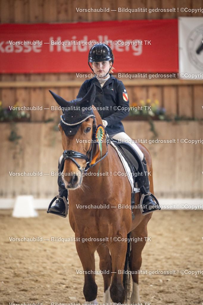 _D5A1588 | Emotionale Pferde- & People-Fotografie rund um Heidelberg, Leimen & Umgebung. Natürliche Fotos von Pferd, Mensch & Familie. Jetzt Termin sichern!