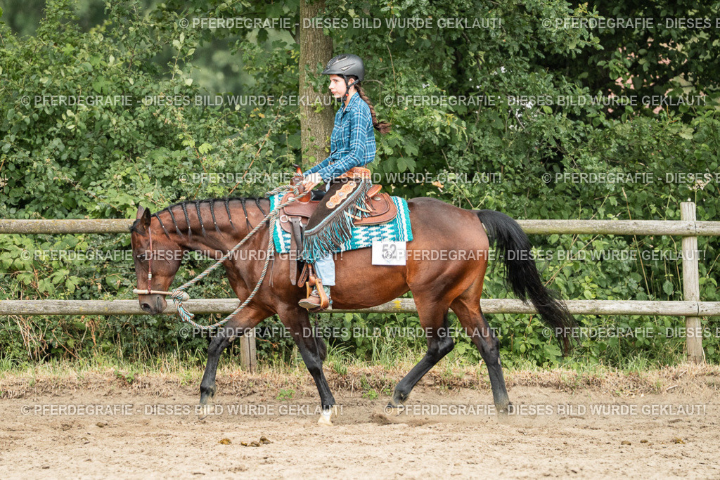 DSC03813 | Pferdegrafie