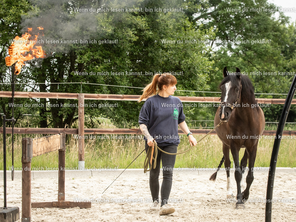 598A6782 | photographylinaismer - Realisiert mit Pictrs.com