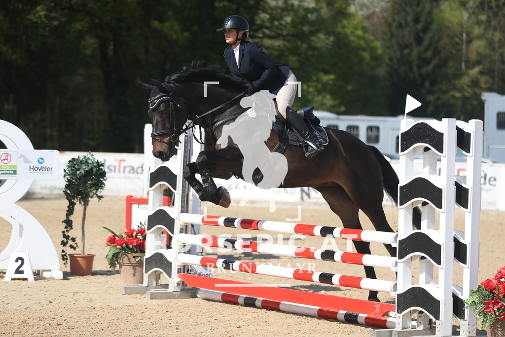 AS8V0304 | Willkommen bei Brunnmayr - Design & Fotografie – Ihrem Spezialisten für Reitturniere und Pferdeveranstaltungen in Oberösterreich, Salzburg und Bayern! Seit über 17 Jahren sind wir leidenschaftlich dabei.