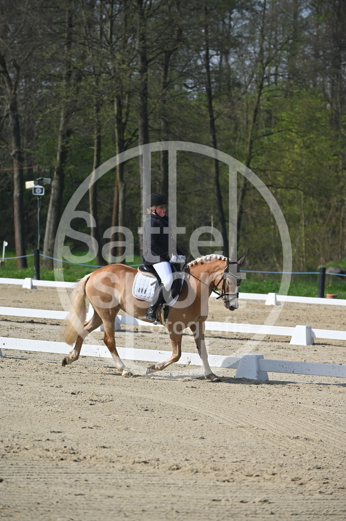 DSC_0347 | sattelsport - Realisiert mit Pictrs.com