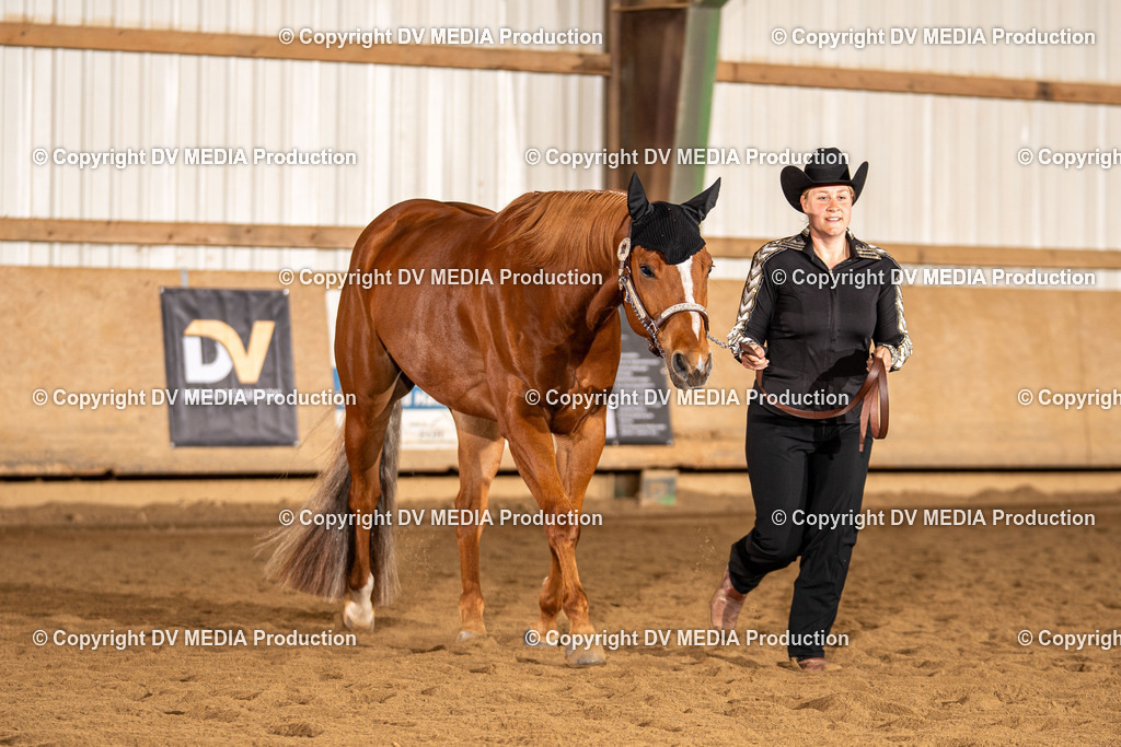 Balingen Tag 1-70 | dv-media-shop - Realisiert mit Pictrs.com