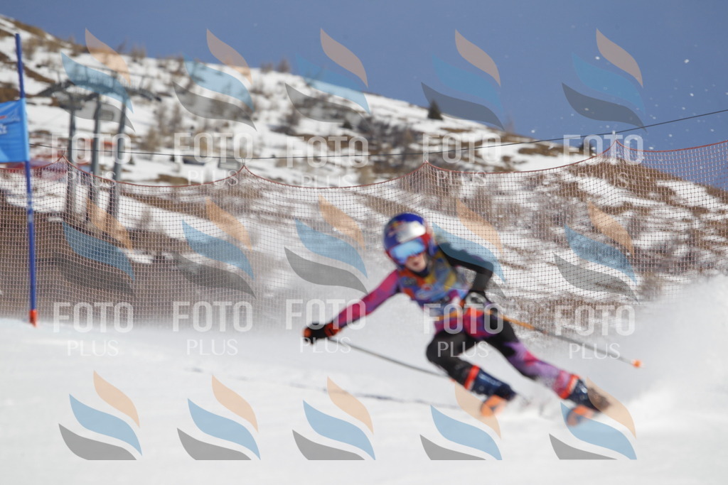 _U3G9204 | holidayphoto