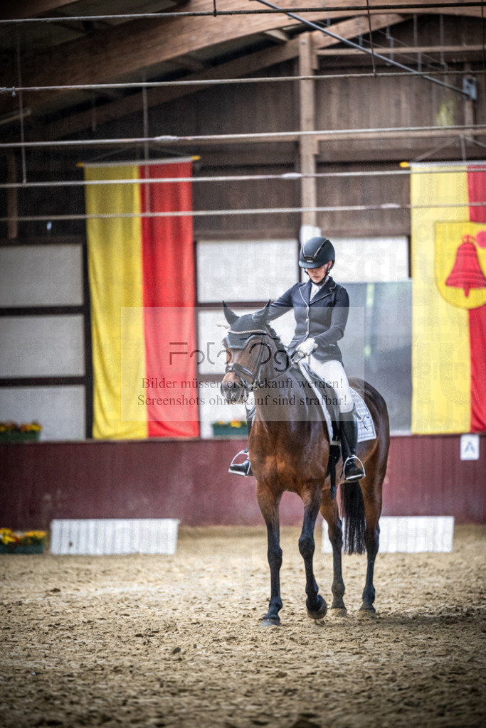 DOS_1424 | Reitturnier Lüdinghausen - Realisiert mit Pictrs.com