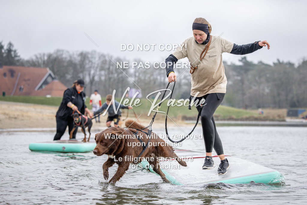 nelerasche_Hulsbeek_Sa1230-1330_143 | nelerasche