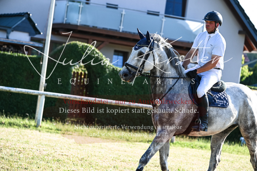DSC_2795 | Pferde- und Turnierfotografie in Westsachsen. Pferdeportraits, Auftragszeichnungen und intuitive Kunst.