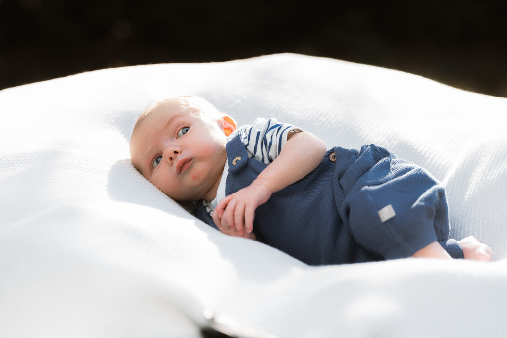ZD260823180053 | Fotoshop von zweidimensional Fotografie. Ihr Fotograf im Aargau. Abzüge von Ihrem Fotobox Event bestellen.Abzüge von Ihrem Hochzeit bestellen.Abzüge von Ihrem Schulfotograf bestellen.