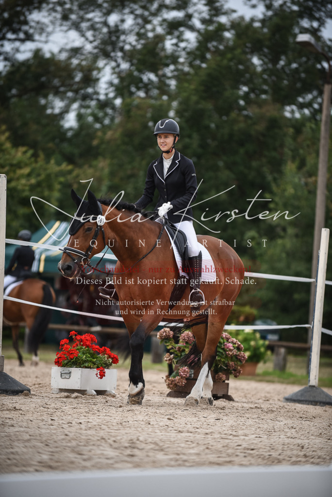 DSC_8295 | Pferde- und Turnierfotografie in Westsachsen. Pferdeportraits, Auftragszeichnungen und intuitive Kunst.