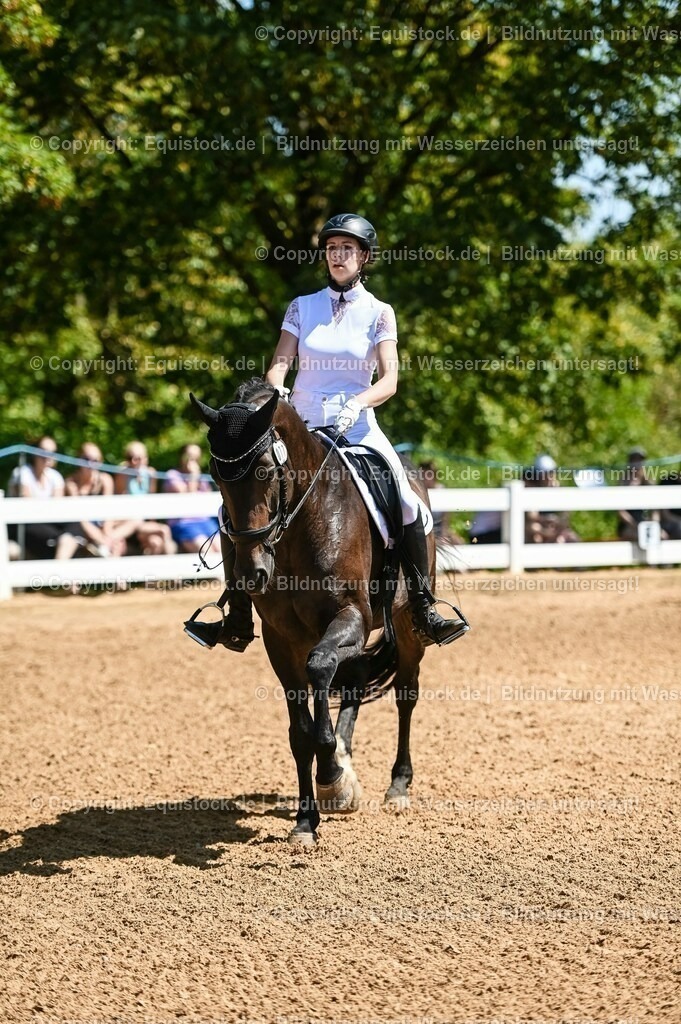 20230715_02_Dressurreiterprüfung Kl.L_0055 | equistock