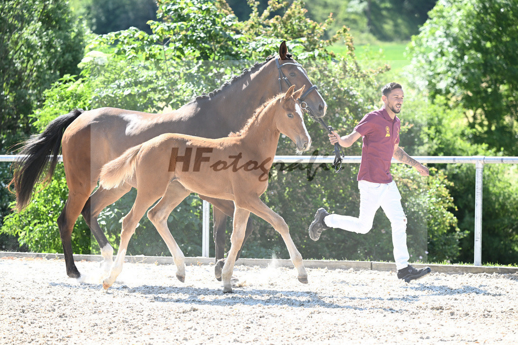 Kat-Nr. 2 SF Forlee_Foth_16230080 | hf-fotografie - Realisiert mit Pictrs.com