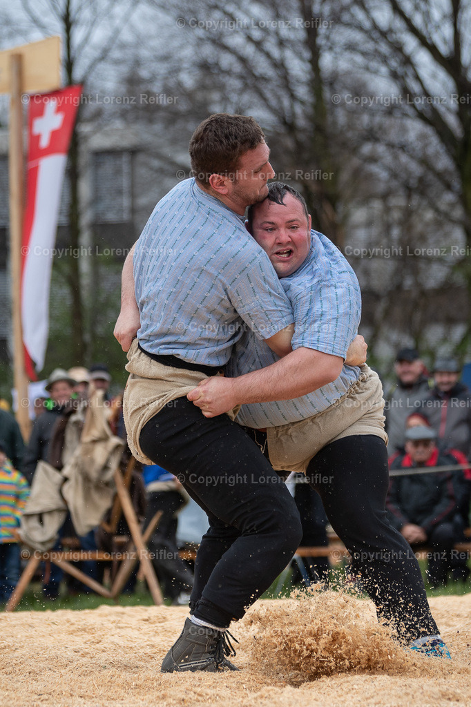 Schwingen -  Rheintal-Oberländer 2024 | Trübbach, 24.3.24, Schwingen - Rheintal-Oberländer.