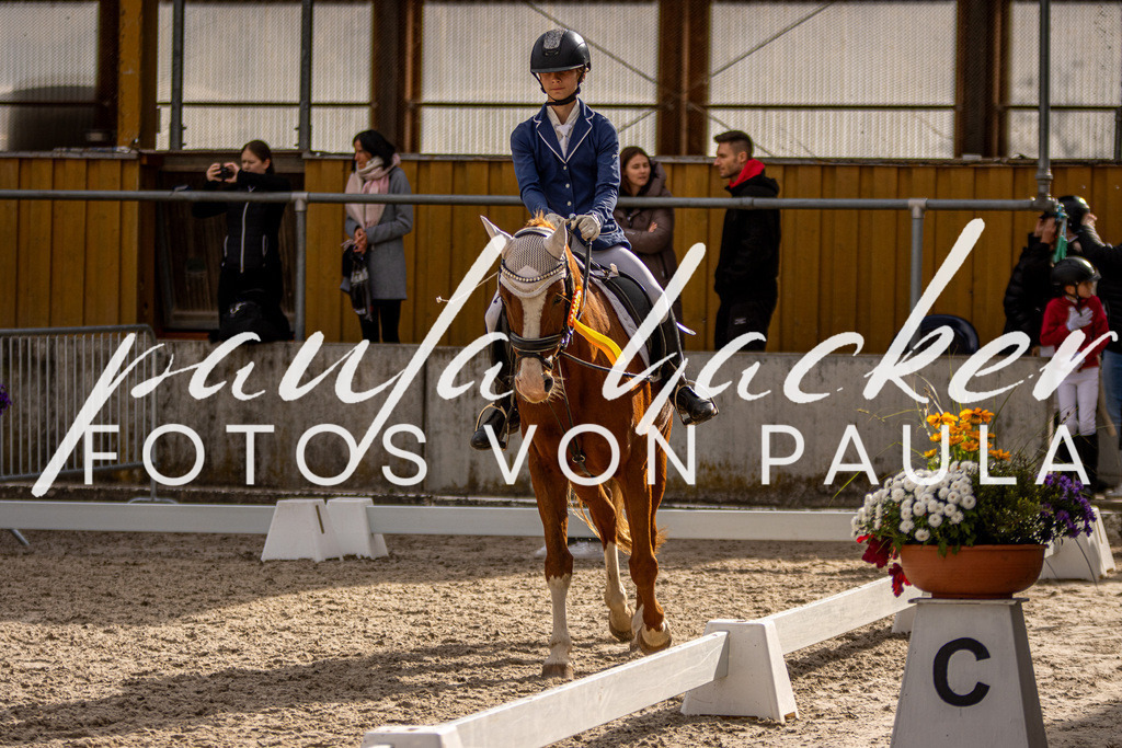 IMG_3814 | Erleben Sie dynamische Sport- und emotionale Tierfotografie in Süddeutschland mit Fotos von Paula. Spezialisiert auf Pferde- und Hundefotografie sowie Sportevents. Kontaktieren Sie mich für einzigartige und ausdrucksstarke Bilder Ihrer besonderen Momente. - Realisiert mit Pictrs.com