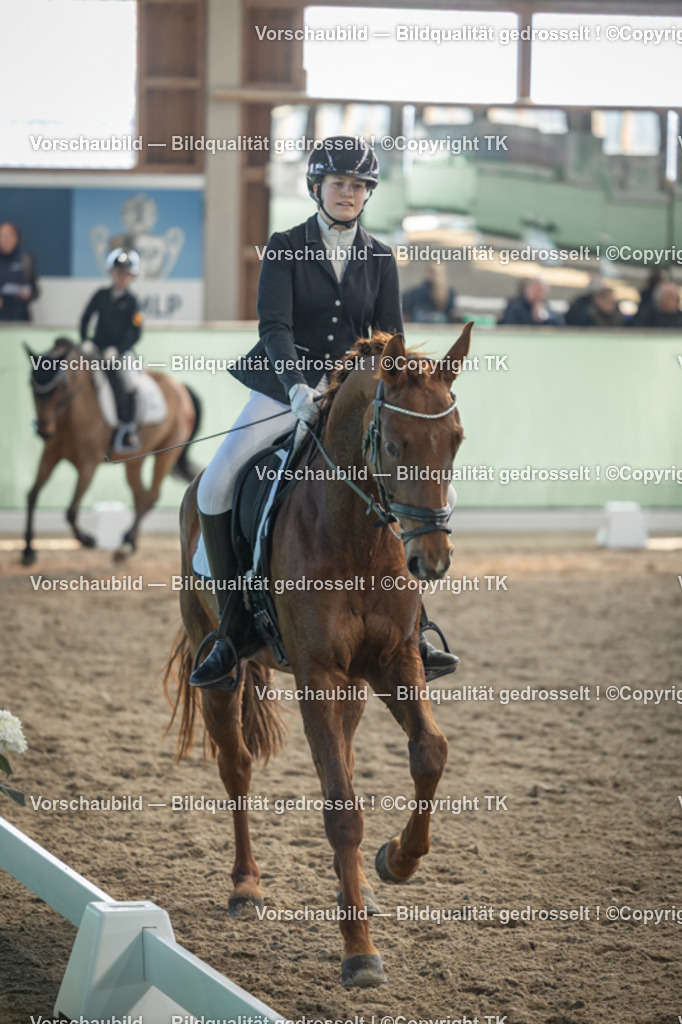 _D5A8559 | Emotionale Pferde- & People-Fotografie rund um Heidelberg, Leimen & Umgebung. Natürliche Fotos von Pferd, Mensch & Familie. Jetzt Termin sichern!