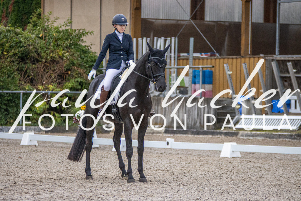 IMG_2299 | Erleben Sie dynamische Sport- und emotionale Tierfotografie in Süddeutschland mit Fotos von Paula. Spezialisiert auf Pferde- und Hundefotografie sowie Sportevents. Kontaktieren Sie mich für einzigartige und ausdrucksstarke Bilder Ihrer besonderen Momente. - Realisiert mit Pictrs.com