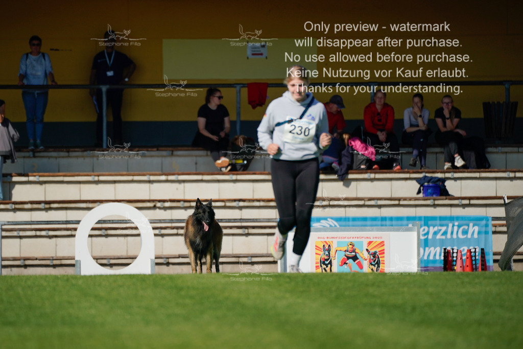 Samstag_Gehorsam_V2 (83) | stephaniefillaphotographie - Realisiert mit Pictrs.com