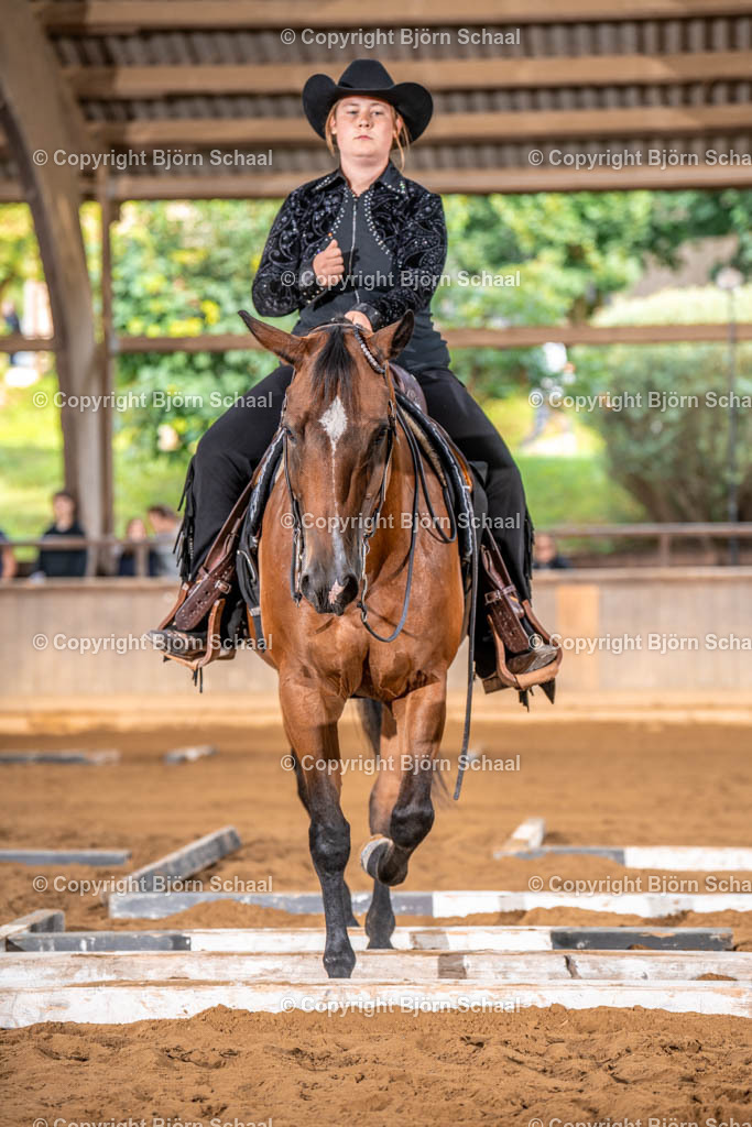 LMS02961 | BS-foto