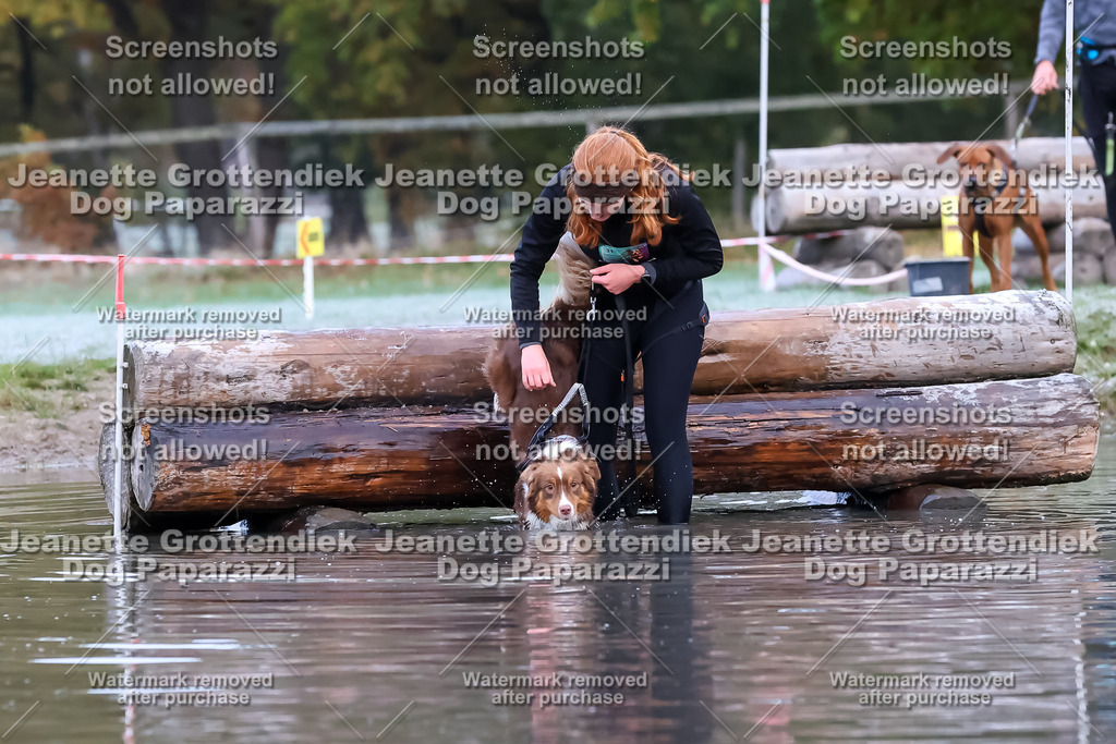 Dog Paparazzi - Strongdog 10-25-6164 | Dog Paparazzi Jeanette Grottendiek Fotografie & Videografie