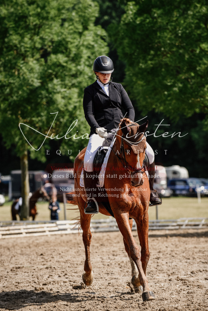 DSC_0306 | Pferde- und Turnierfotografie in Westsachsen. Pferdeportraits, Auftragszeichnungen und intuitive Kunst.