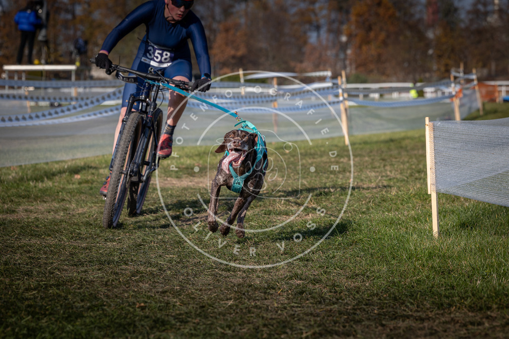 CaniXpix_0L8A7361 | Hundefotografie, Tierfotograf, Pfotenfotografie, Fotoshooting Hund, Hunde Portrait, Hundesport, Hundeportraits, Heideshooting, Hunde, Sportfotograf, Hundefotograf, Turnierhundsport, THS,  - Realisiert mit Pictrs.com
