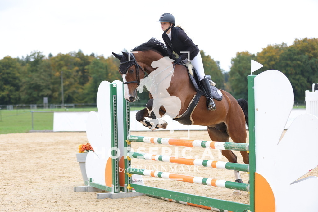 0P6A2923 | Willkommen bei Brunnmayr - Design & Fotografie – Ihrem Spezialisten für Reitturniere und Pferdeveranstaltungen in Oberösterreich, Salzburg und Bayern! Seit über 17 Jahren sind wir leidenschaftlich dabei.