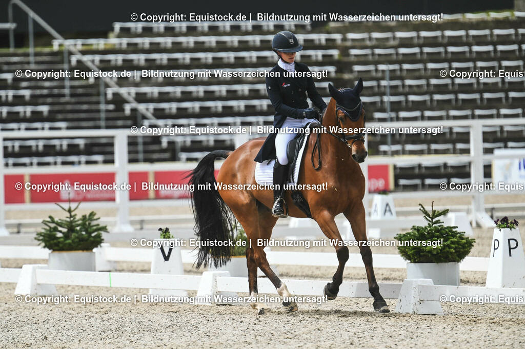 20230512_CCI4_Dressur_0259 | equistock