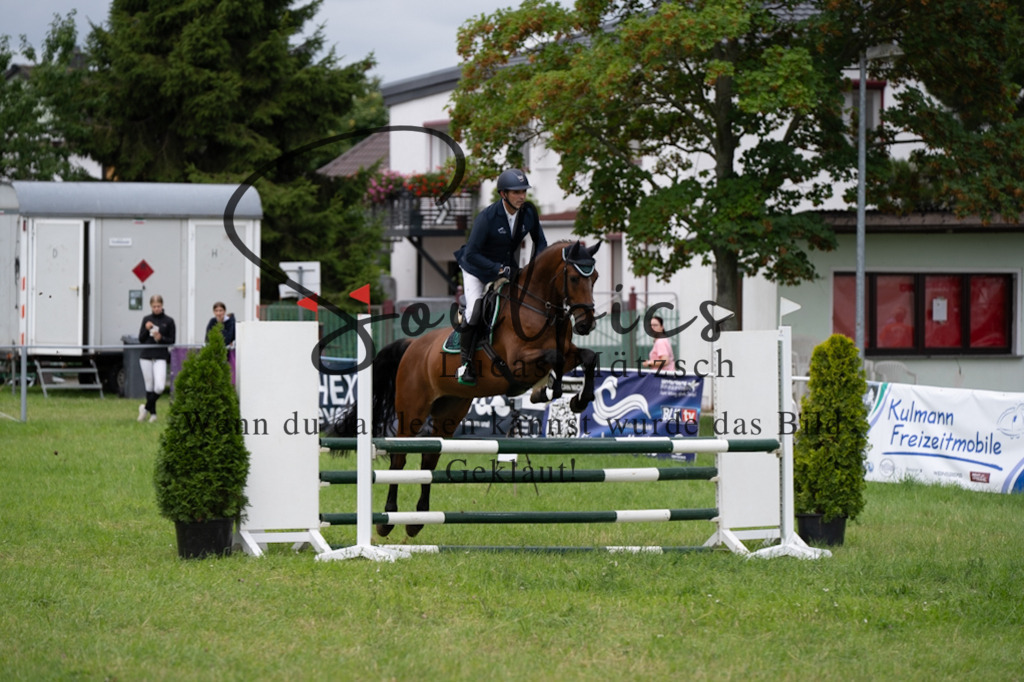 A7V04002 | Pferdefotograf