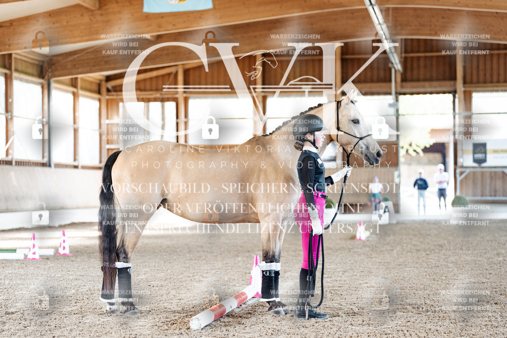 CK905387 | Turnierfotografie Pferdefotografie Trier Rheinland-Pfalz Pferdesport Reitsport Tierfotografie Sportfotografie Pferdevideo Pferdevideografie Equestrianvideography equestrianphotography  - Realisiert mit Pictrs.com