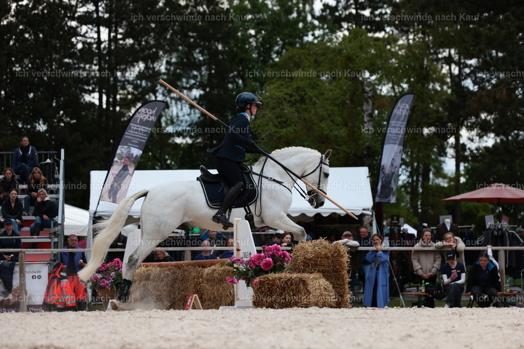 PI26_ST_StoibphotographyC2_L9036.JPG | working equitationturnier fotograf videograf stoibphotography marixx film working equitation deutschland reitsport turnierfotografie eventfotografie equestrian events