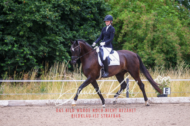 DKP47103 | Turniersportfotografie; Pferdefotografie; Dressurfotografie