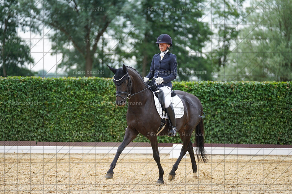 20240630-FAH00837 | Turnierbilder Schwabmünchen, Dressurbilder, Springreitturnier, Reitsportbilder, Turnierfotografen Bayern, Turnierfotograf