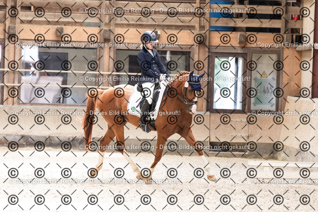 CL5A6401 | Emilia Reinking Fotografie - Realisiert mit Pictrs.com