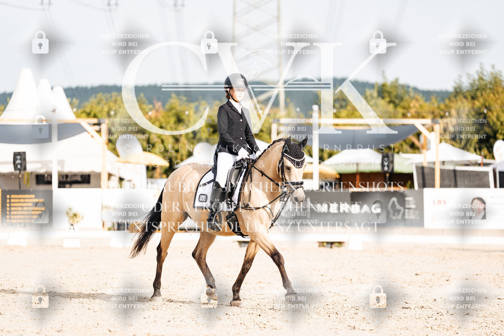 CK904162 | Turnierfotografie Pferdefotografie Trier Rheinland-Pfalz Pferdesport Reitsport Tierfotografie Sportfotografie Pferdevideo Pferdevideografie Equestrianvideography equestrianphotography  - Realisiert mit Pictrs.com