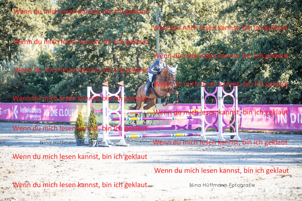 BK1A6167 | Turnierbilder Turnierfotos Nina Hüffmann Turnierfotografie Pferdefotografie Tierzeichnung Haustierzeichnung Pferdezeichnung Hundezeichnung Videograf  - Realisiert mit Pictrs.com