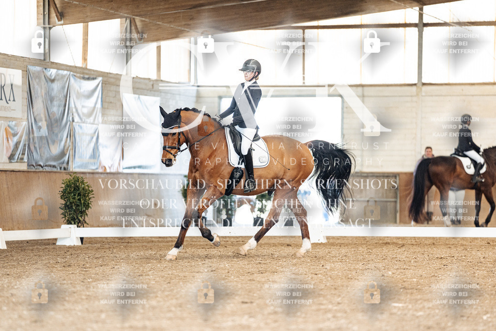 CK901068 | Turnierfotografie Pferdefotografie Trier Rheinland-Pfalz Pferdesport Reitsport Tierfotografie Sportfotografie Pferdevideo Pferdevideografie Equestrianvideography equestrianphotography  - Realisiert mit Pictrs.com