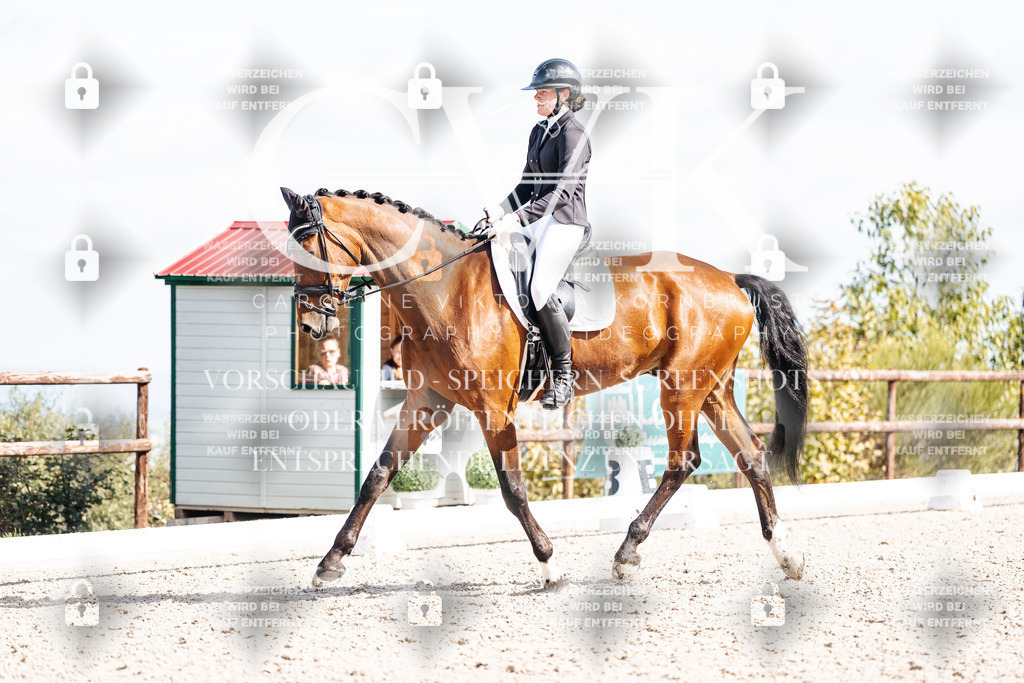 CK902373 | Turnierfotografie Pferdefotografie Trier Rheinland-Pfalz Pferdesport Reitsport Tierfotografie Sportfotografie Pferdevideo Pferdevideografie Equestrianvideography equestrianphotography  - Realisiert mit Pictrs.com