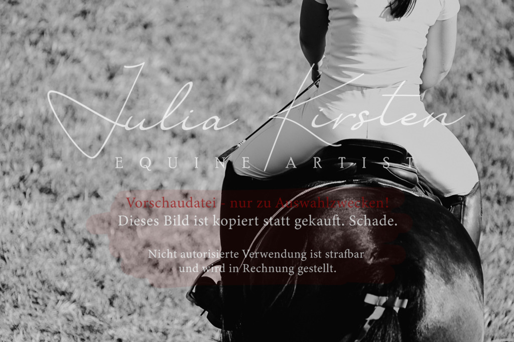 DSC_2002 | Pferde- und Turnierfotografie in Westsachsen. Pferdeportraits, Auftragszeichnungen und intuitive Kunst.