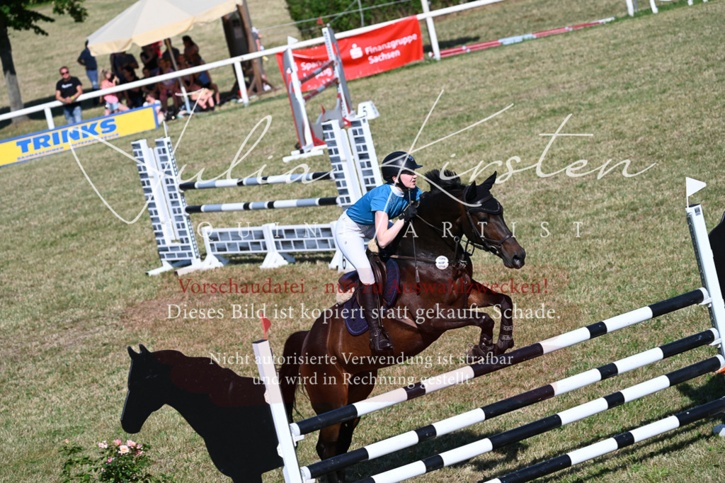 DSC_2367 | Pferde- und Turnierfotografie in Westsachsen. Pferdeportraits, Auftragszeichnungen und intuitive Kunst.