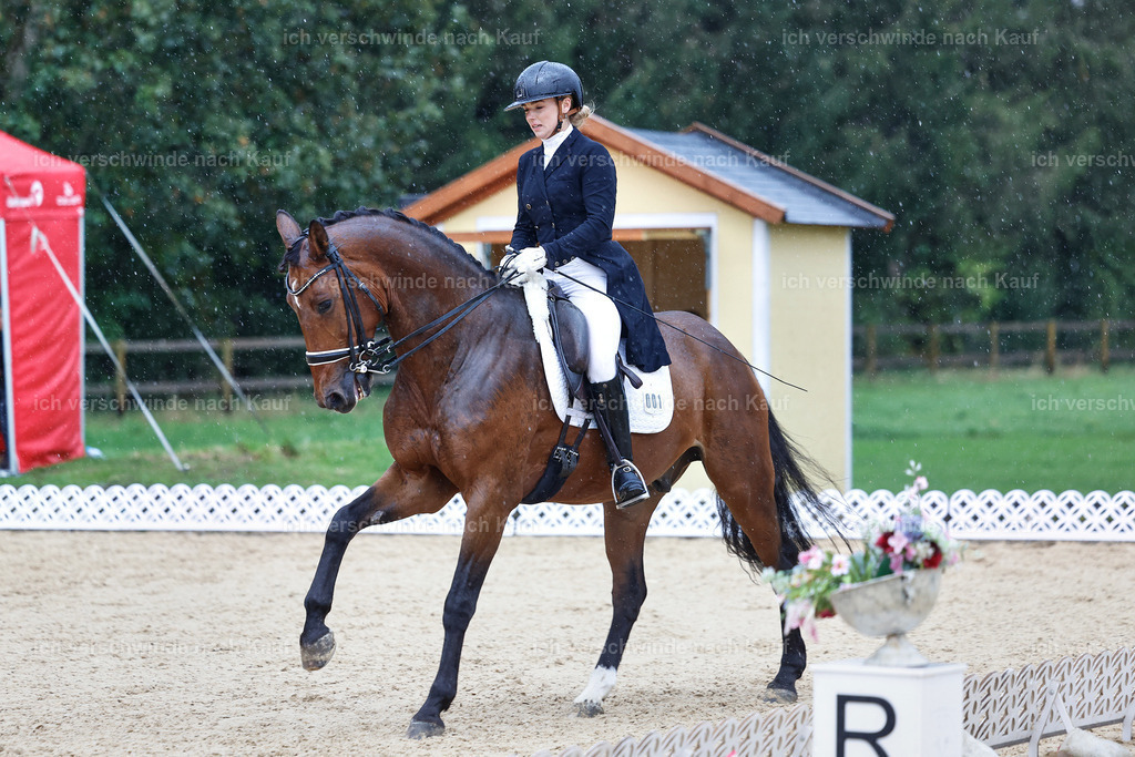 8_1-001-Klasse S_  -StoibPH-3963 | working equitationturnier fotograf videograf stoibphotography marixx film working equitation deutschland reitsport turnierfotografie eventfotografie equestrian events