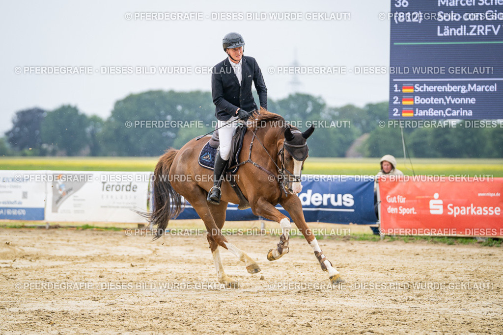 DSC02780 | Pferdegrafie